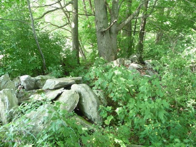 Map213-bl9 Bailey Road Lanesborough, MA 01237 - Photo 4 of 6 P1020158