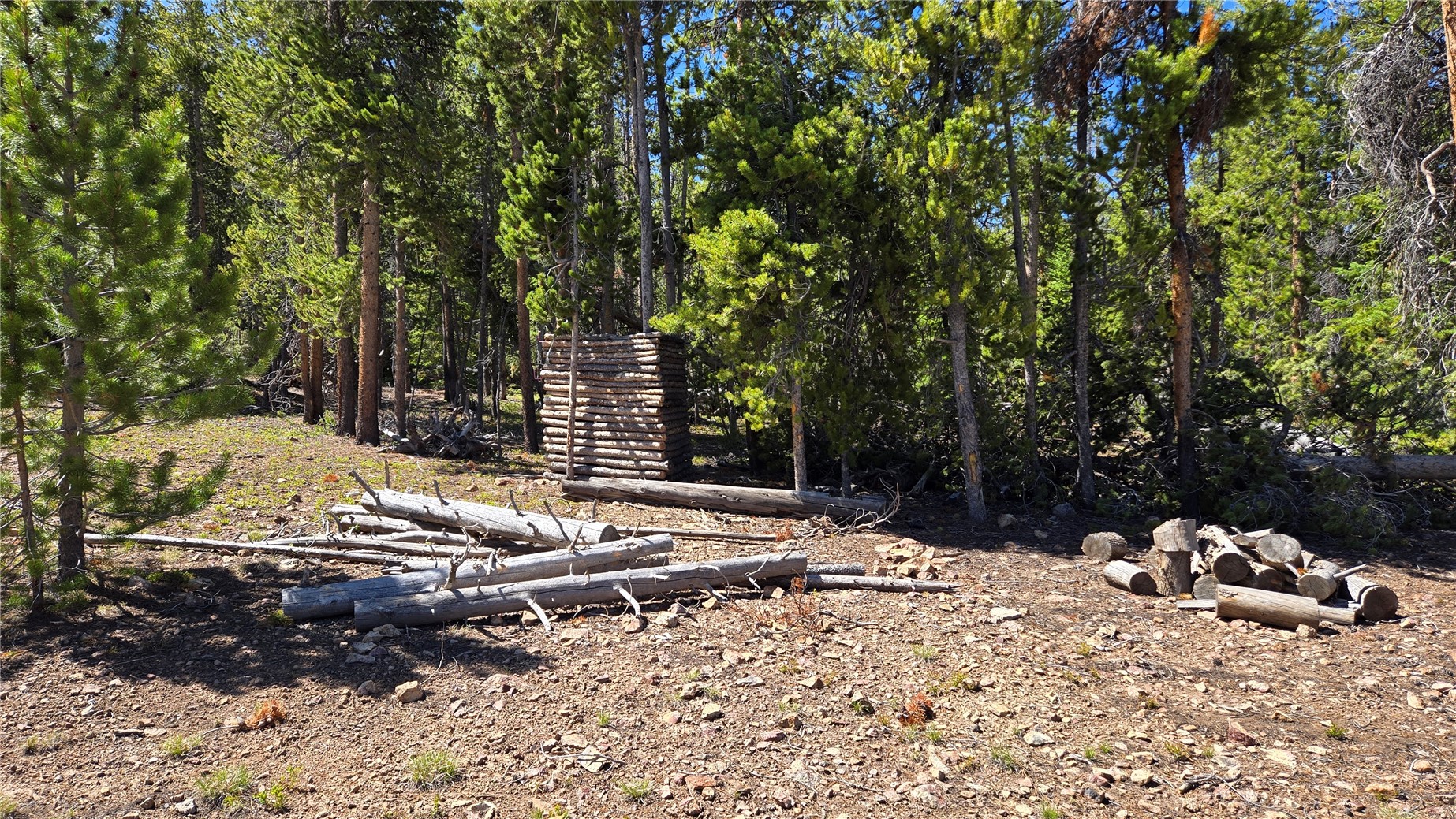 Tbd Summit Gulch Road Breckenridge, CO 80424 - Photo 7 of 30 a view of a yard with a tree