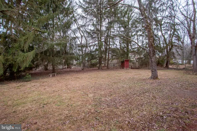 a view of outdoor space with trees