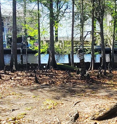 19123 Owl Bayou Road Ponchatoula, LA 70454 - Photo 20 of 28