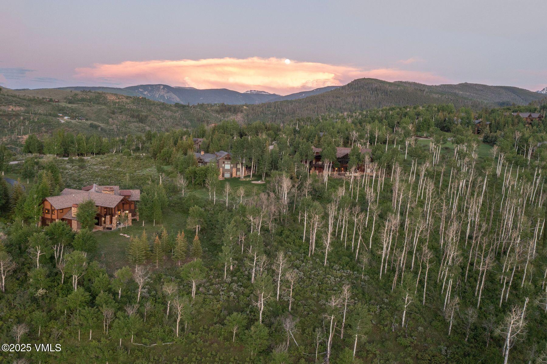 285 Aspen Meadows Road Edwards, CO 81632 - Photo 3 of 24 photo_online_003