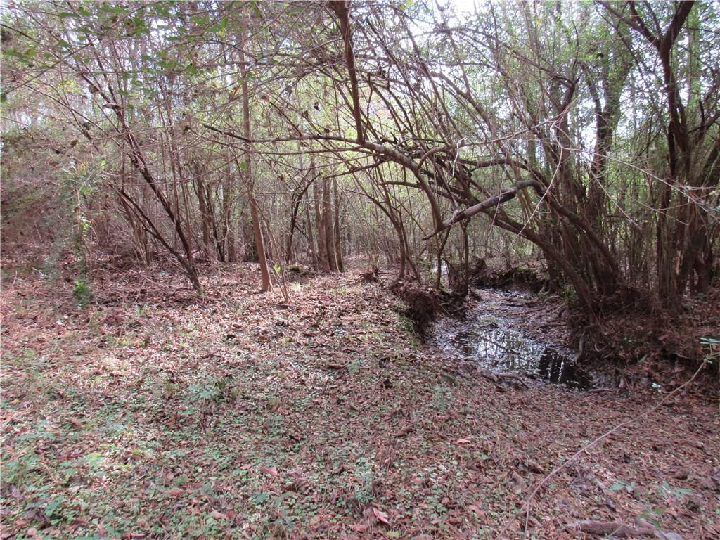 Tbd Virgil Sims Road Deridder, LA 70634 - Photo 19 of 22 Gallery Image 19