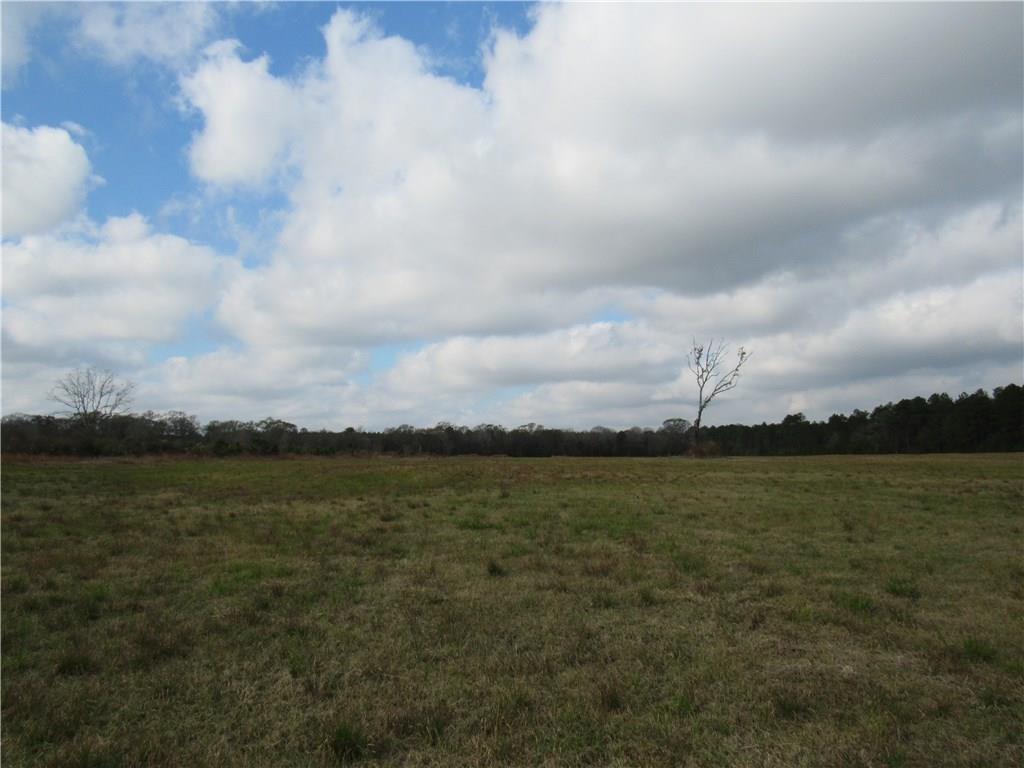 Tbd Virgil Sims Road Deridder, LA 70634 - Photo 8 of 22 Gallery Image 8