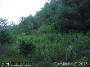 1 Line Runner Lake Road Rosman, NC 28772 - Photo 3 of 3 Gallery Image 3