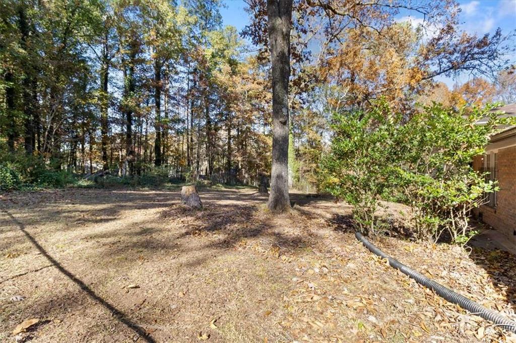 1999 Lindsey Lane Decatur, GA 30035 - Photo 29 of 38 a view of outdoor space with trees