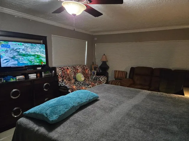 a living room with furniture rug and window