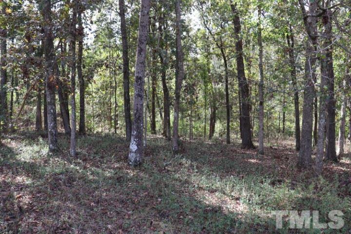 972 Mill Branch Road Fairmont, NC 28340 - Photo 13 of 26 Gallery Image 13