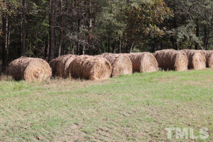 972 Mill Branch Road Fairmont, NC 28340 - Photo 14 of 26 Gallery Image 14