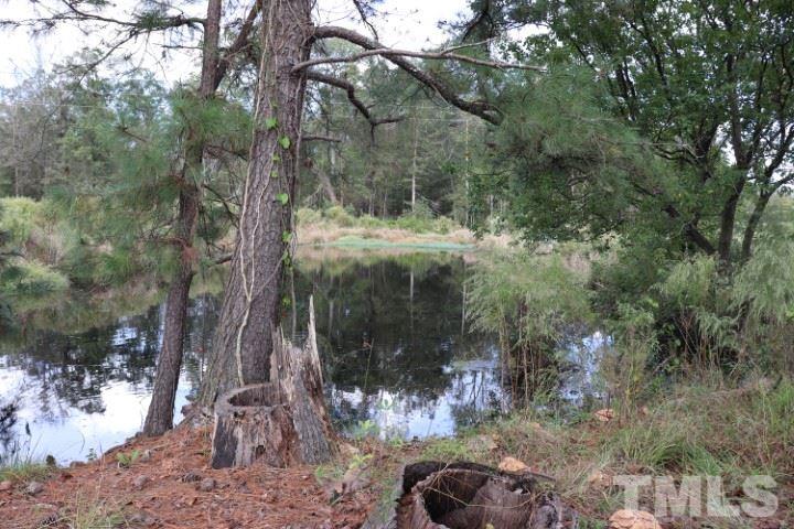 972 Mill Branch Road Fairmont, NC 28340 - Photo 7 of 26 Gallery Image 7