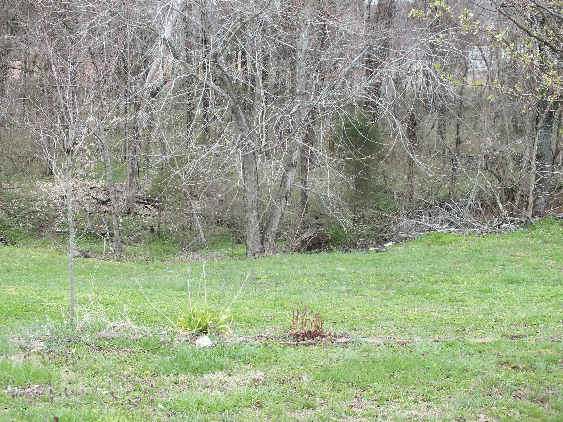 8920 Beaver Dam Road Caneyville, KY 42721 - Photo 24 of 29 Image00022Beaver Dam Rd