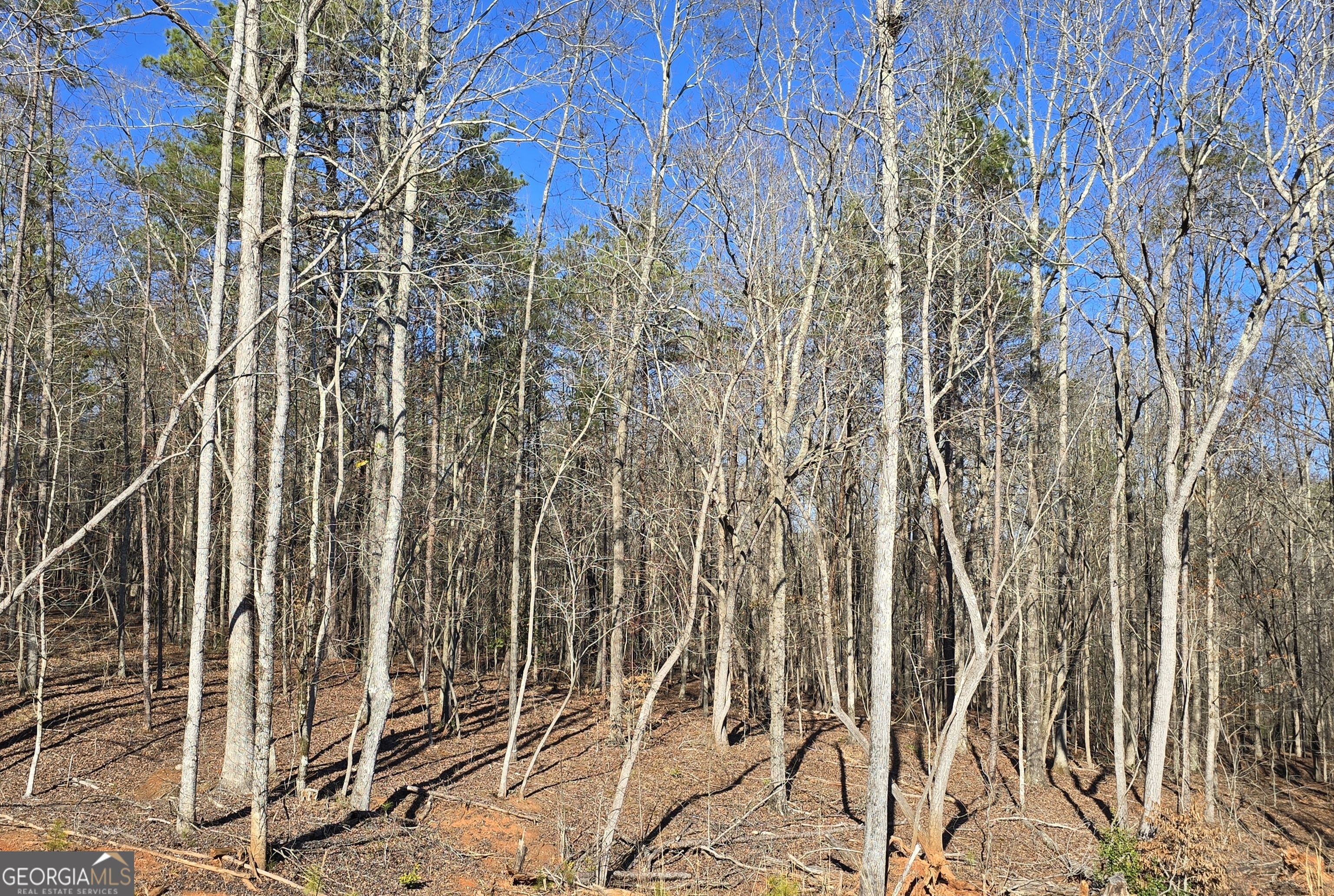 1183 Wilson Bridge Road Homer, GA 30547 - Photo 13 of 23 a close up of a shower curtain