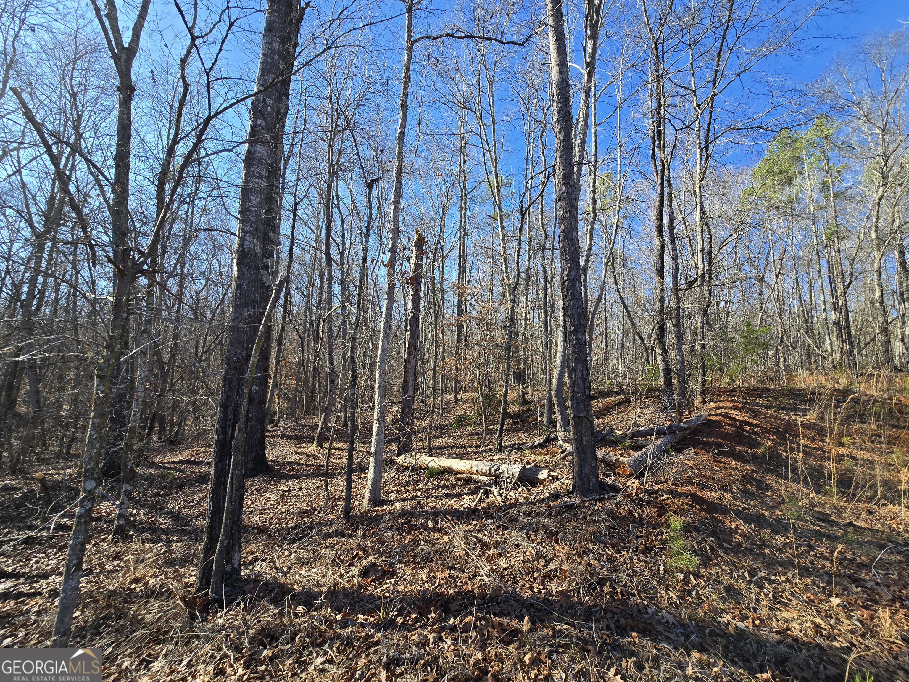 1183 Wilson Bridge Road Homer, GA 30547 - Photo 15 of 23 a backyard of a house with lots of green space