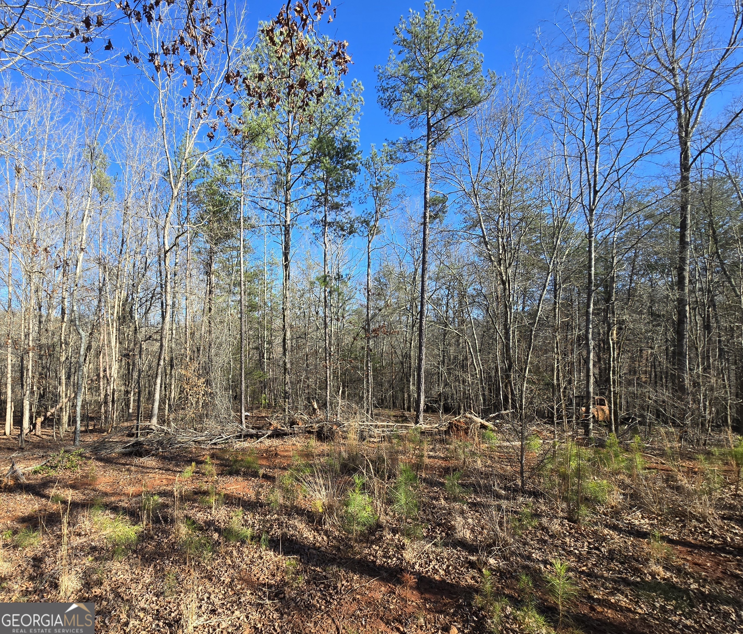 1183 Wilson Bridge Road Homer, GA 30547 - Photo 16 of 23 a view of outdoor space with green space