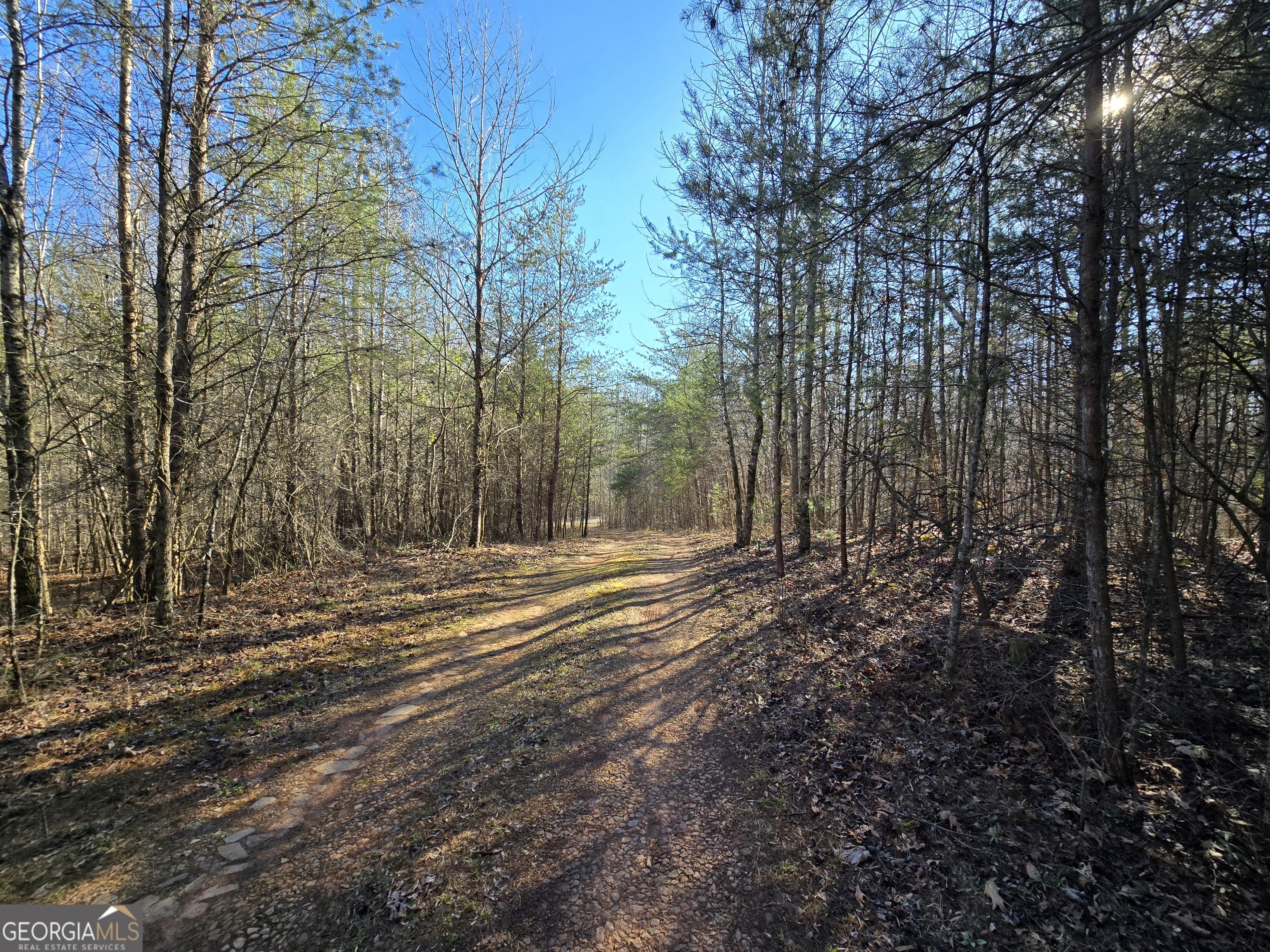 1183 Wilson Bridge Road Homer, GA 30547 - Photo 17 of 23 a view of a yard with trees