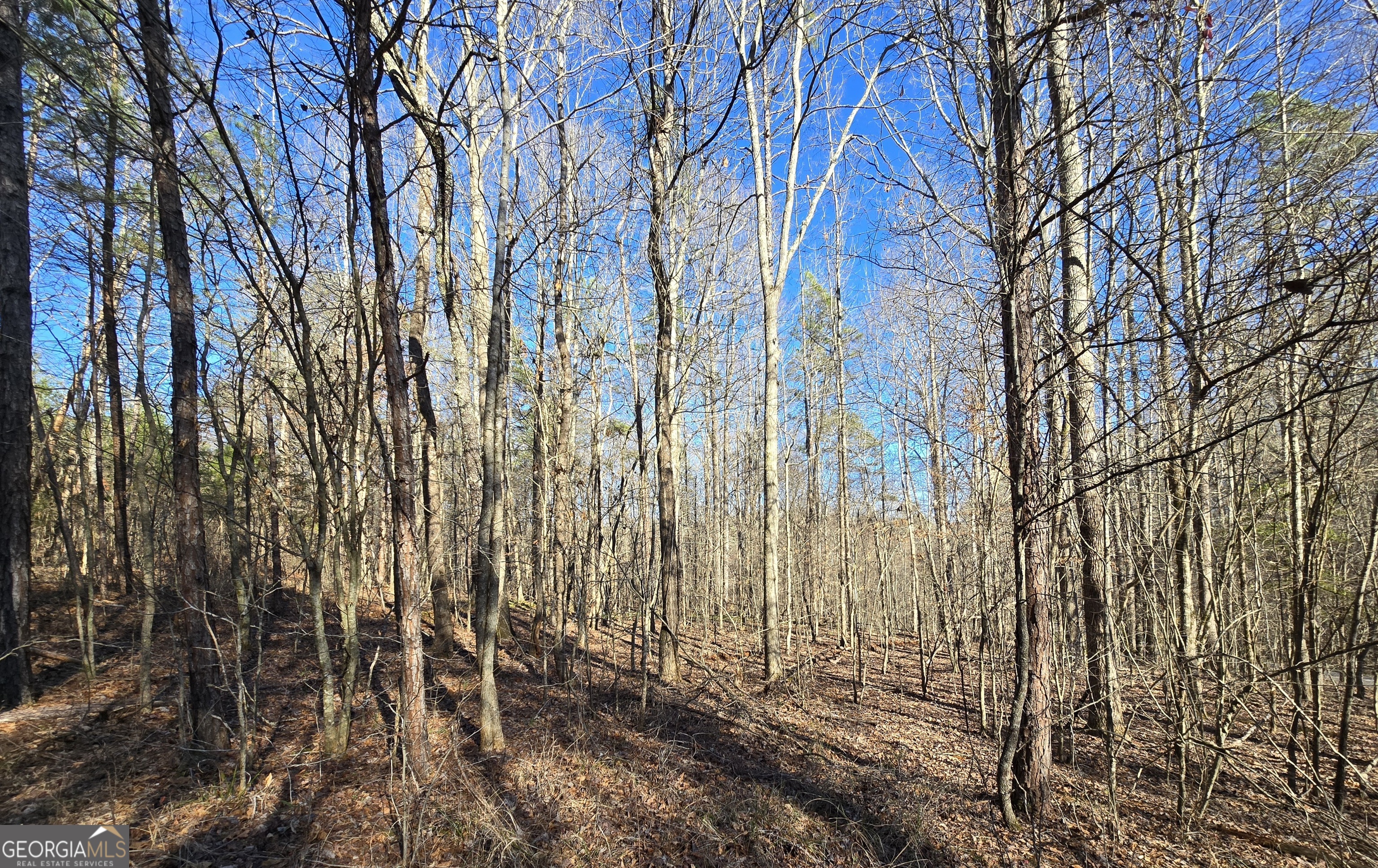 1183 Wilson Bridge Road Homer, GA 30547 - Photo 18 of 23