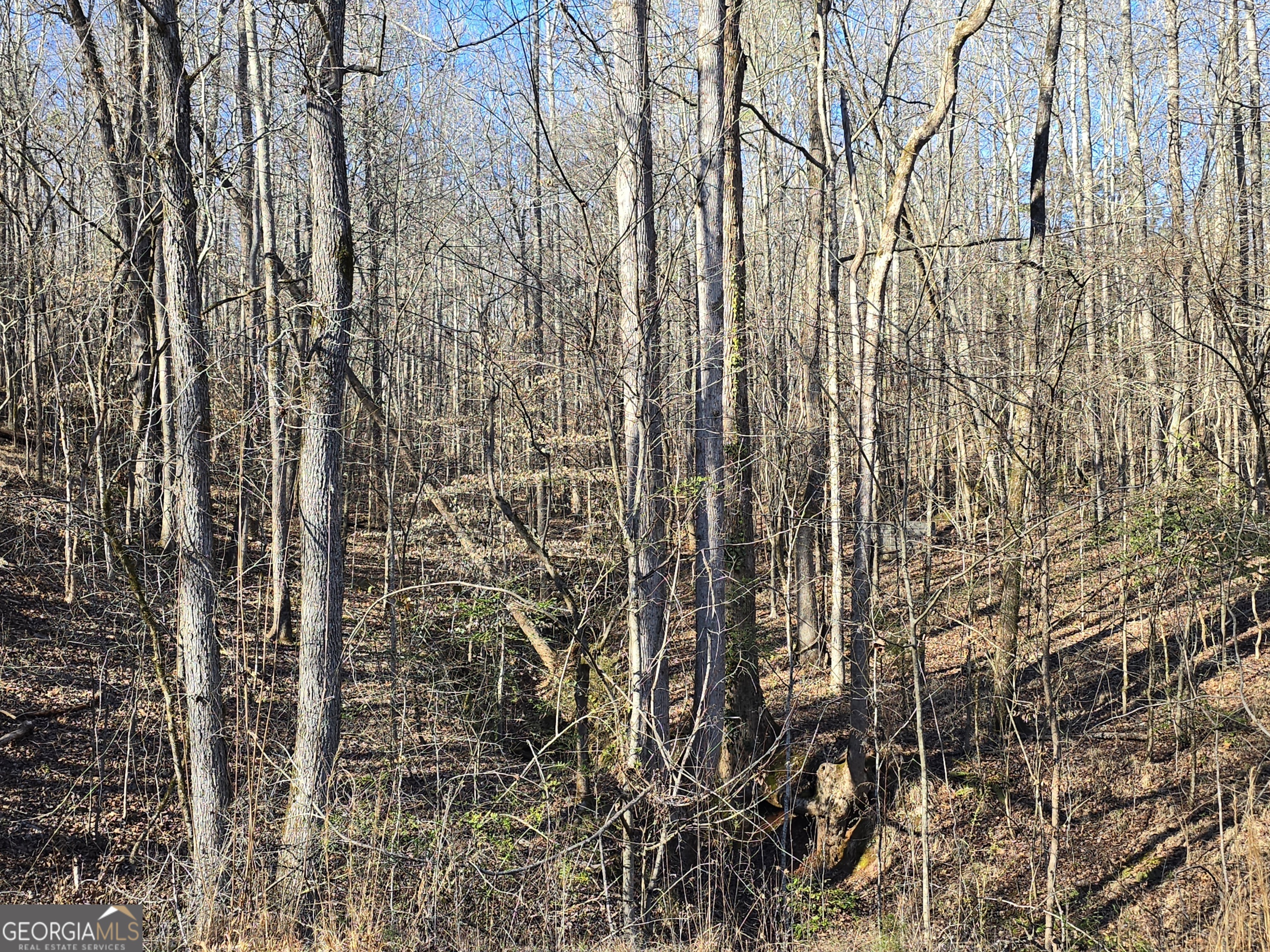 1183 Wilson Bridge Road Homer, GA 30547 - Photo 19 of 23