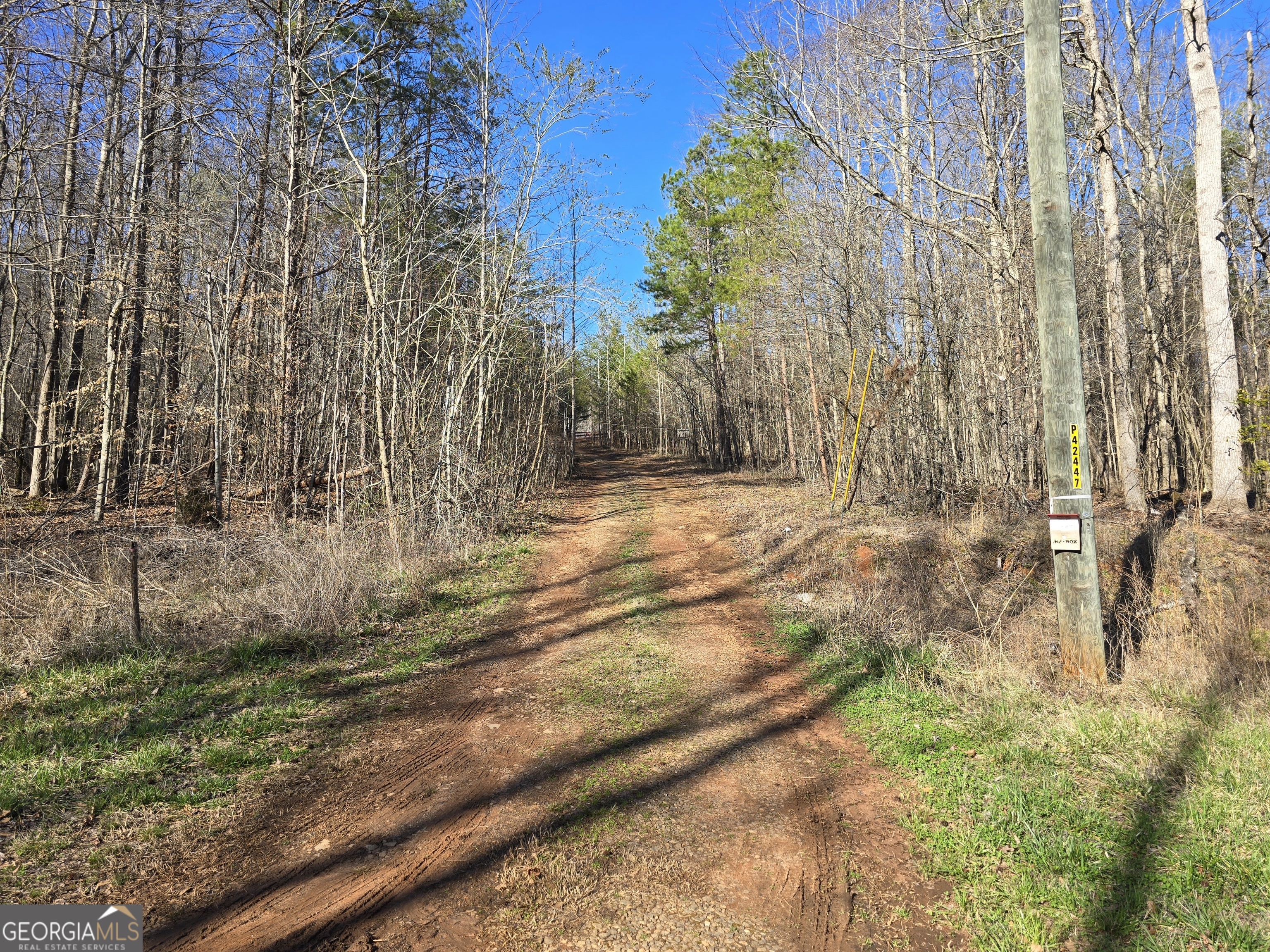 1183 Wilson Bridge Road Homer, GA 30547 - Photo 20 of 23 a view of backyard with green space