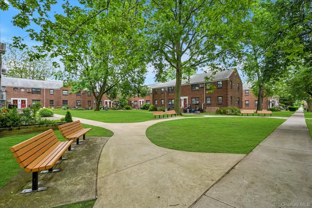a view of a park with bench and trees