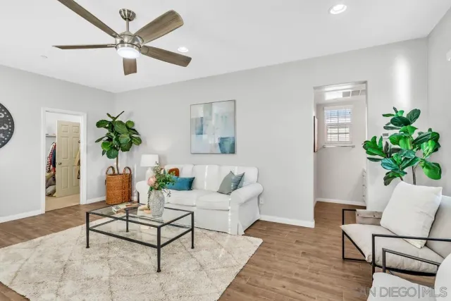 a living room with furniture and a potted plant