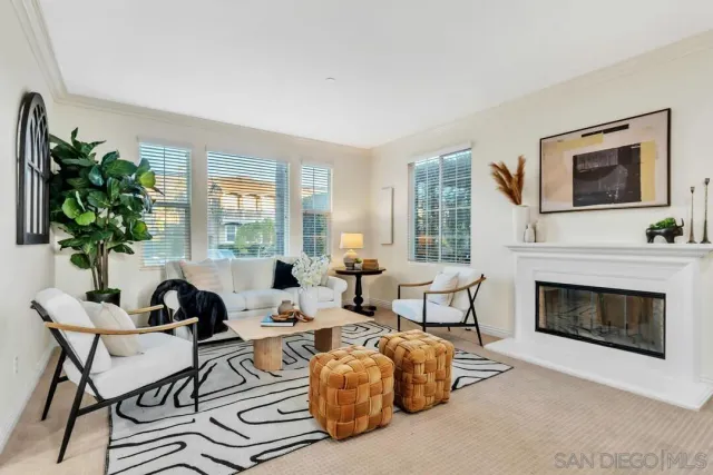 a living room with furniture fireplace and potted plant