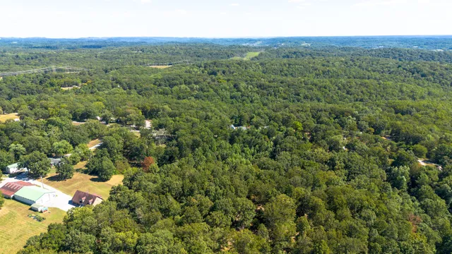 a view of a lush green field
