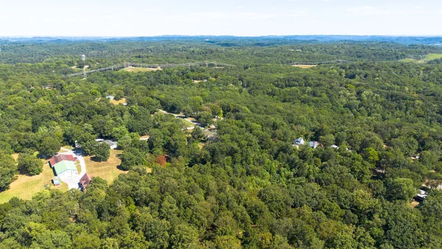 a view of a city with lush green forest