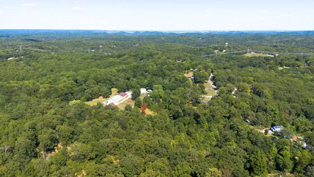 a view of a green field with lots of bushes