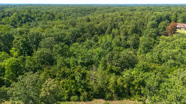 a view of a lush green forest with trees and houses