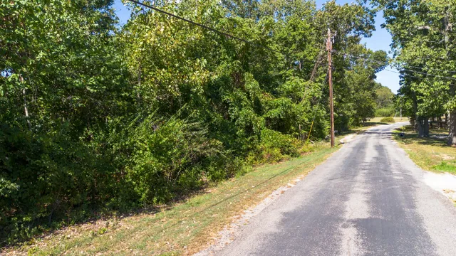 a view of a pathway with a park
