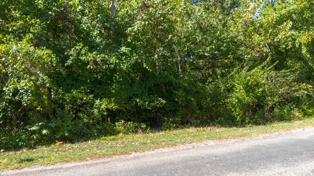 a backyard of a house with a tree and plants