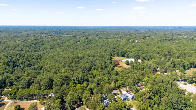 a view of a city with lush green forest