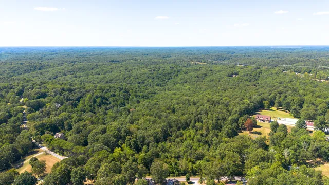 a view of a city with lush green forest
