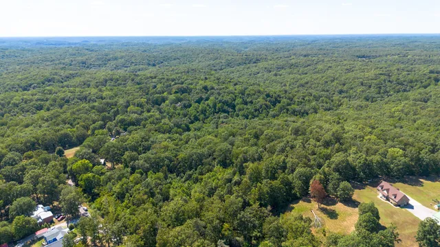 a view of a green field with lots of bushes