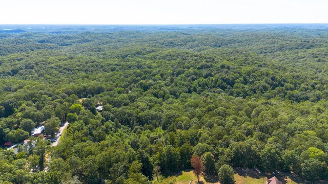 a view of a green field with lots of bushes