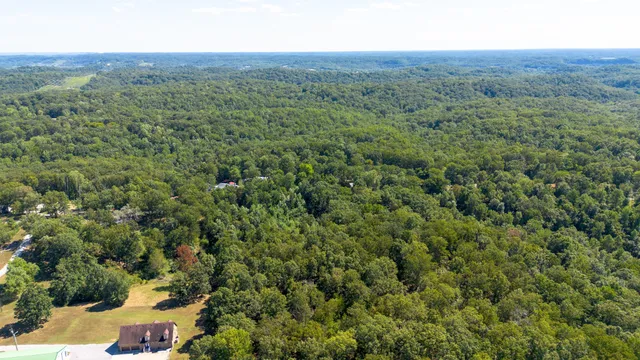 a view of a lush green forest with trees and some houses