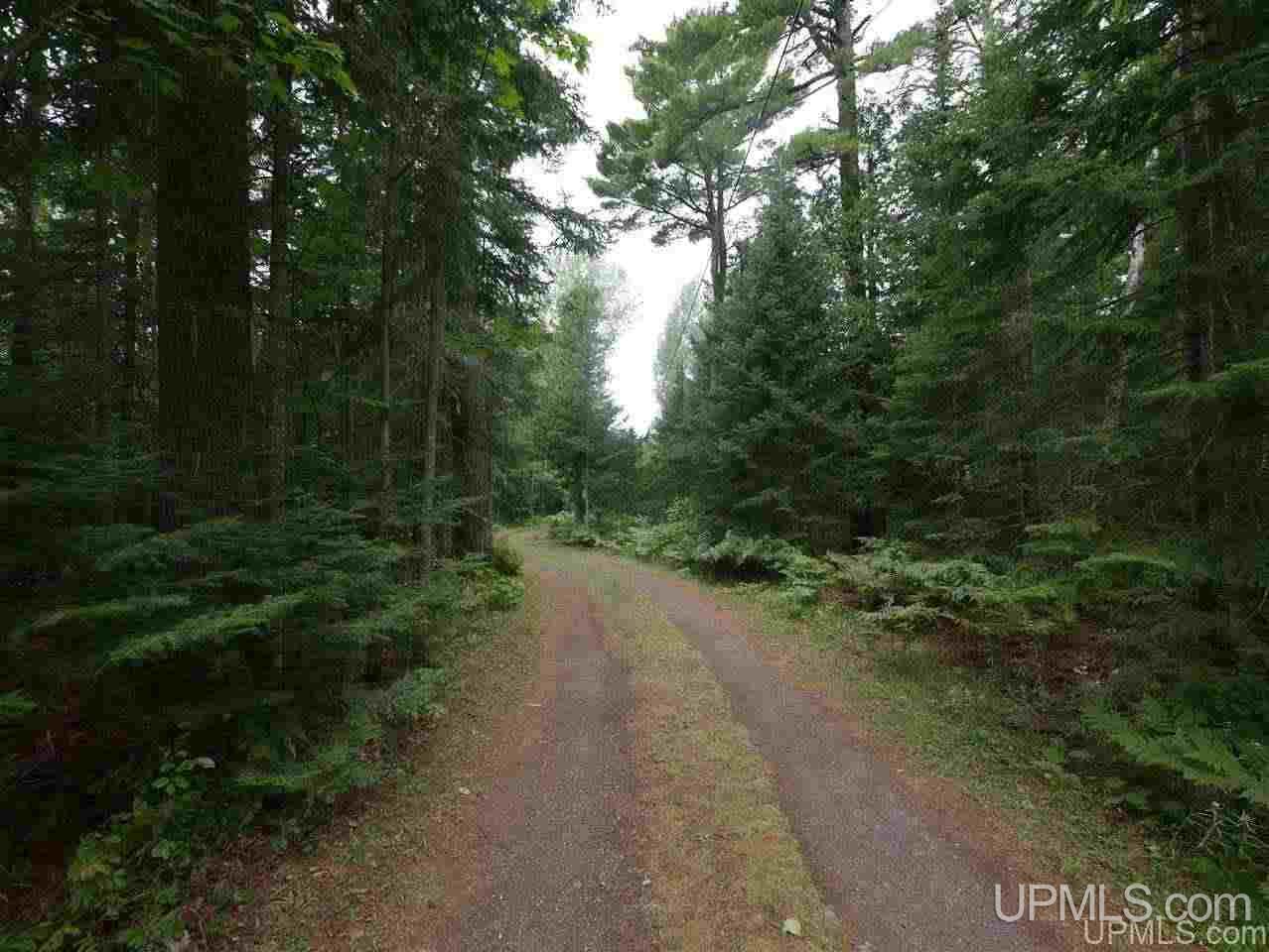 Lots 12-and 13 Lake Lily Road Mohawk, MI 49918 - Photo 17 of 27