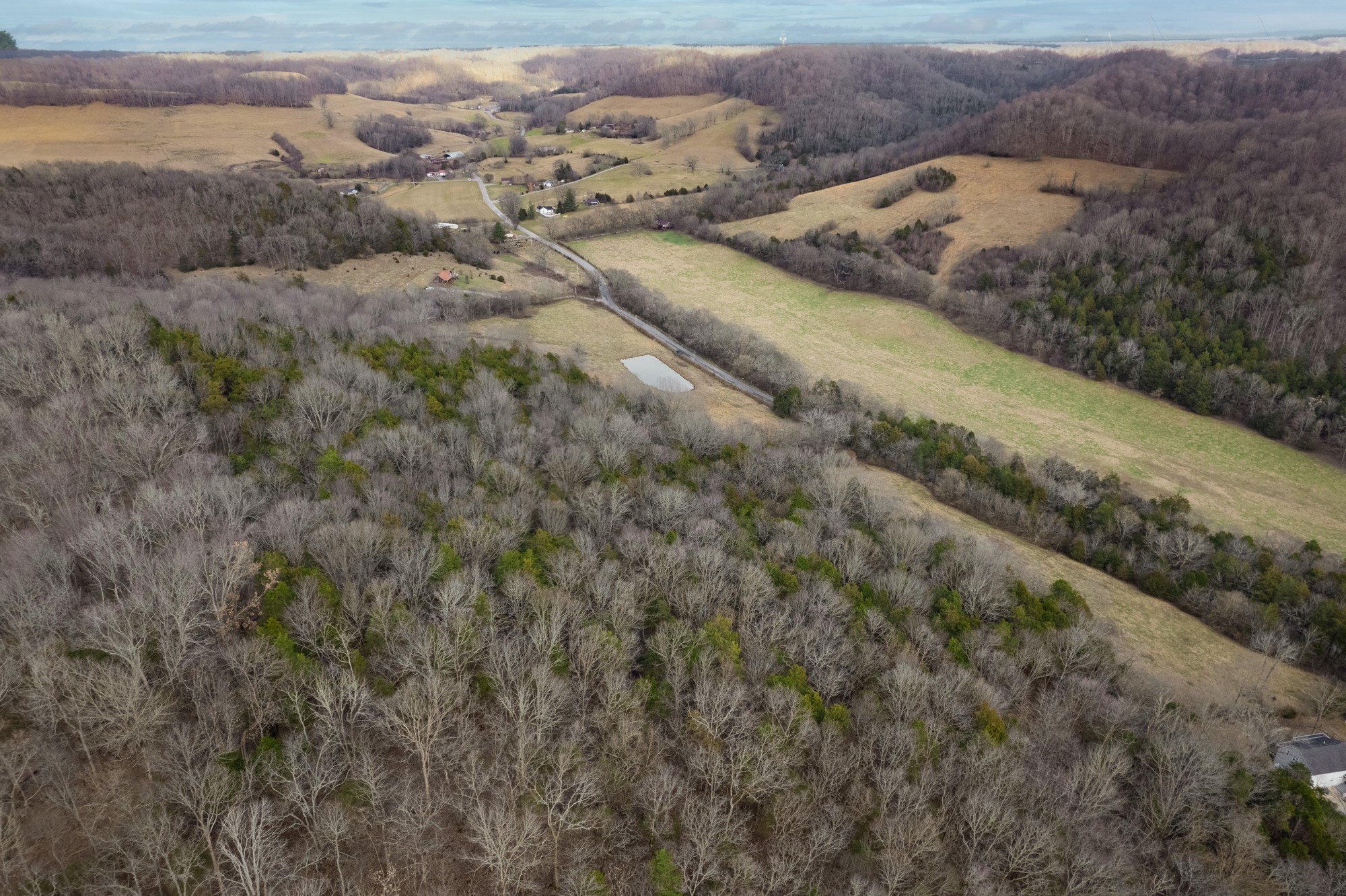 0 Rock Springs Road Buffalo Valley, TN 38548 - Photo 7 of 12 Gallery Image 7