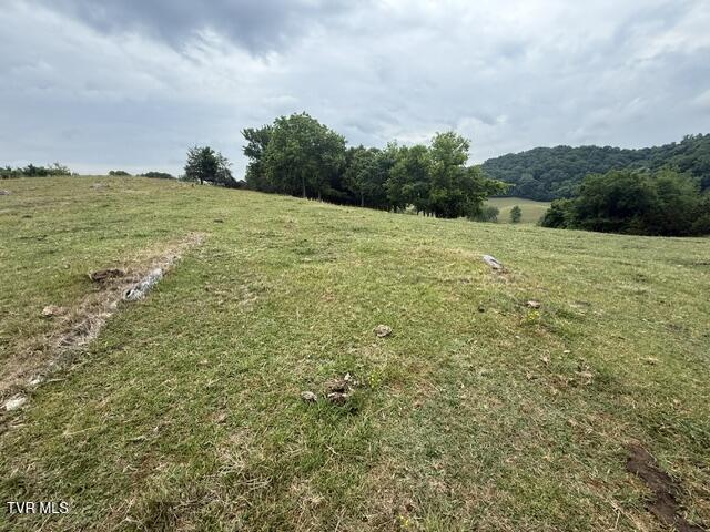 Tbd South Summer Sound Road Piney Flats, TN 37686 - Photo 2 of 22 IMG_8036