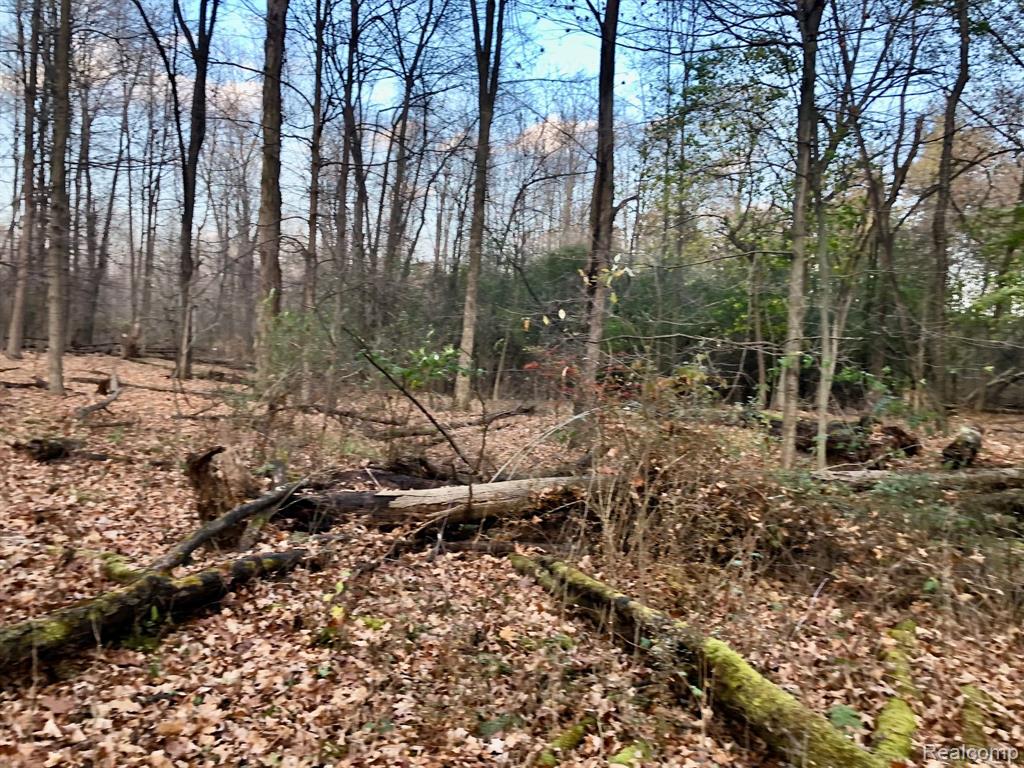 0 East Brocker Road Metamora, MI 48455 - Photo 12 of 25