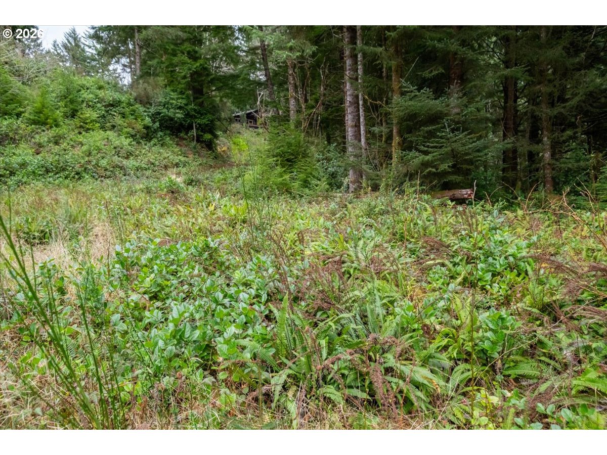2800 Lot Waldport, OR 97394 - Photo 11 of 48