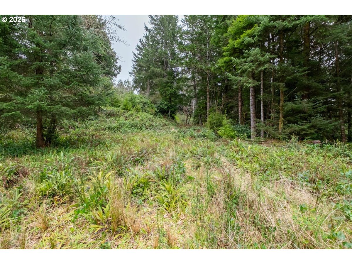 2800 Lot Waldport, OR 97394 - Photo 12 of 48