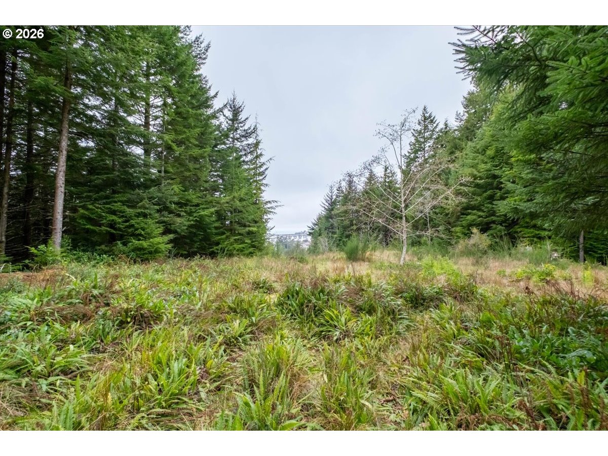 2800 Lot Waldport, OR 97394 - Photo 13 of 48