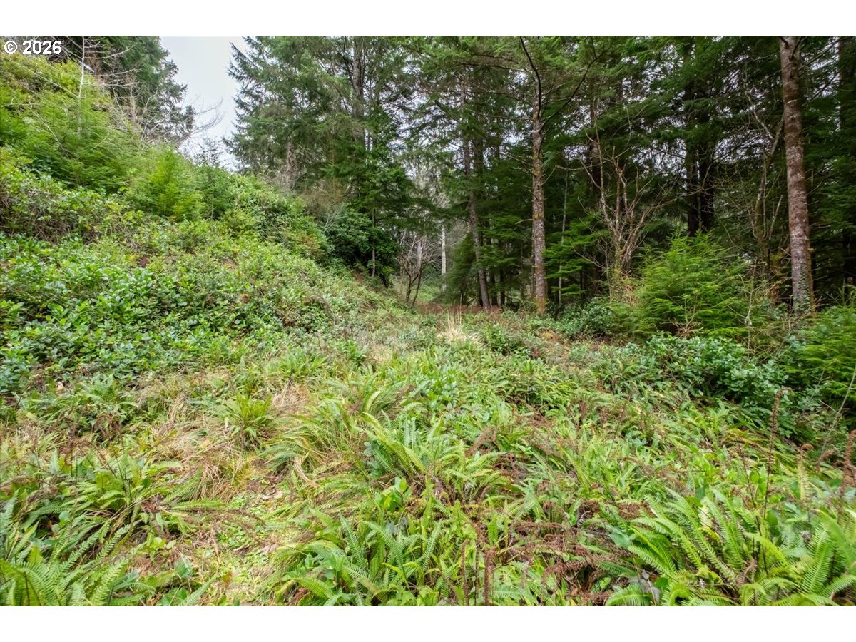 2800 Lot Waldport, OR 97394 - Photo 14 of 48
