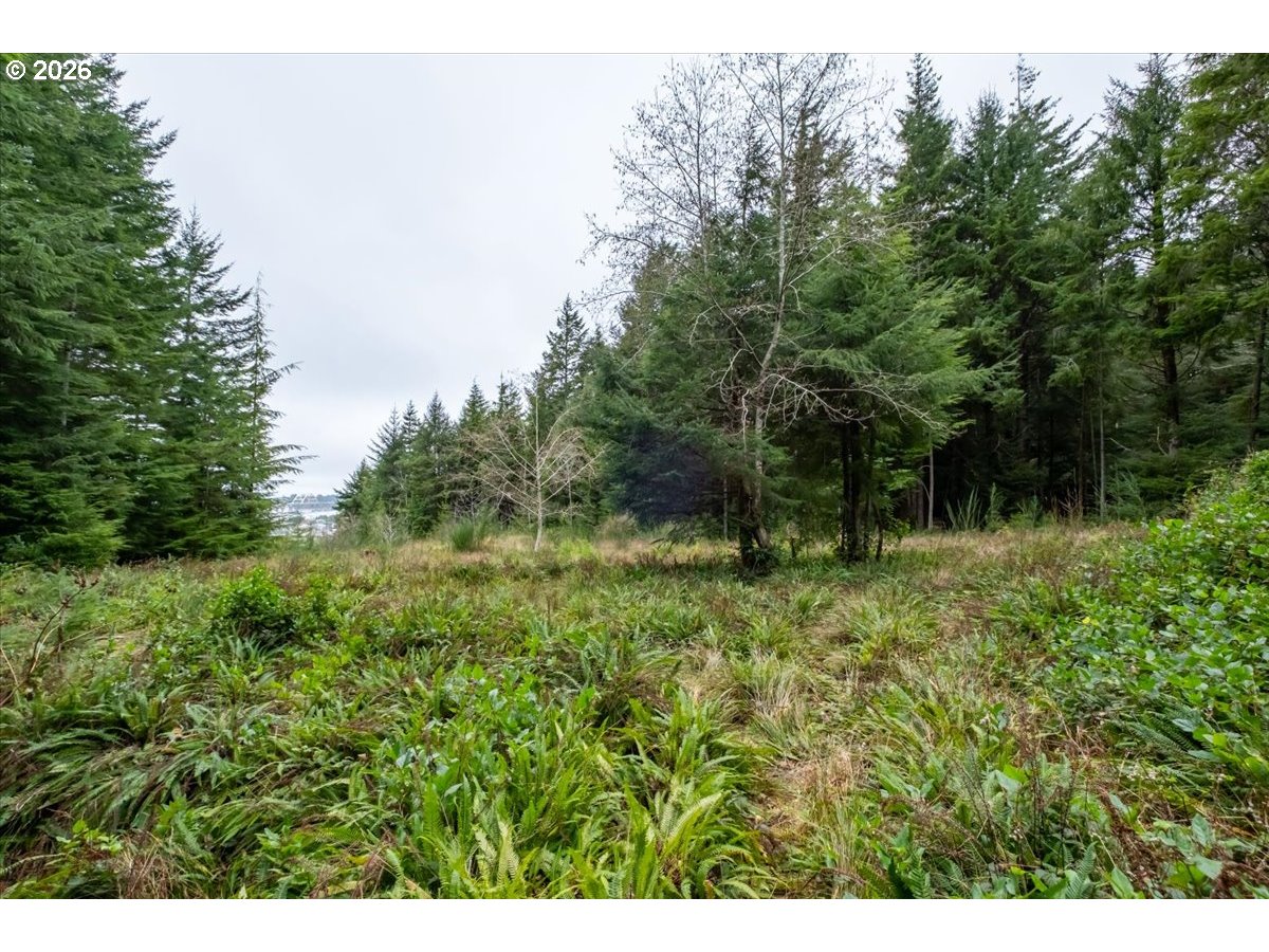 2800 Lot Waldport, OR 97394 - Photo 15 of 48