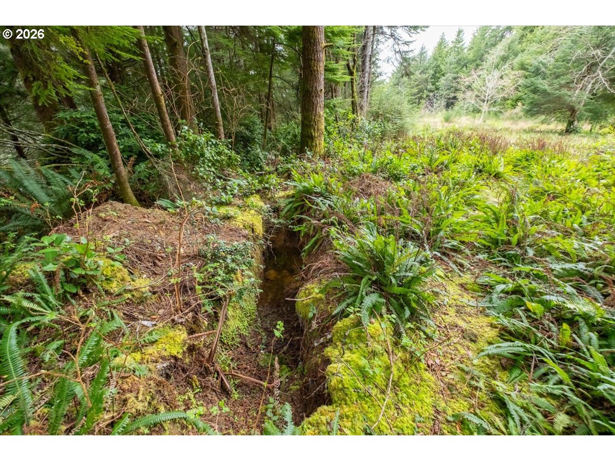 2800 Lot Waldport, OR 97394 - Photo 16 of 48