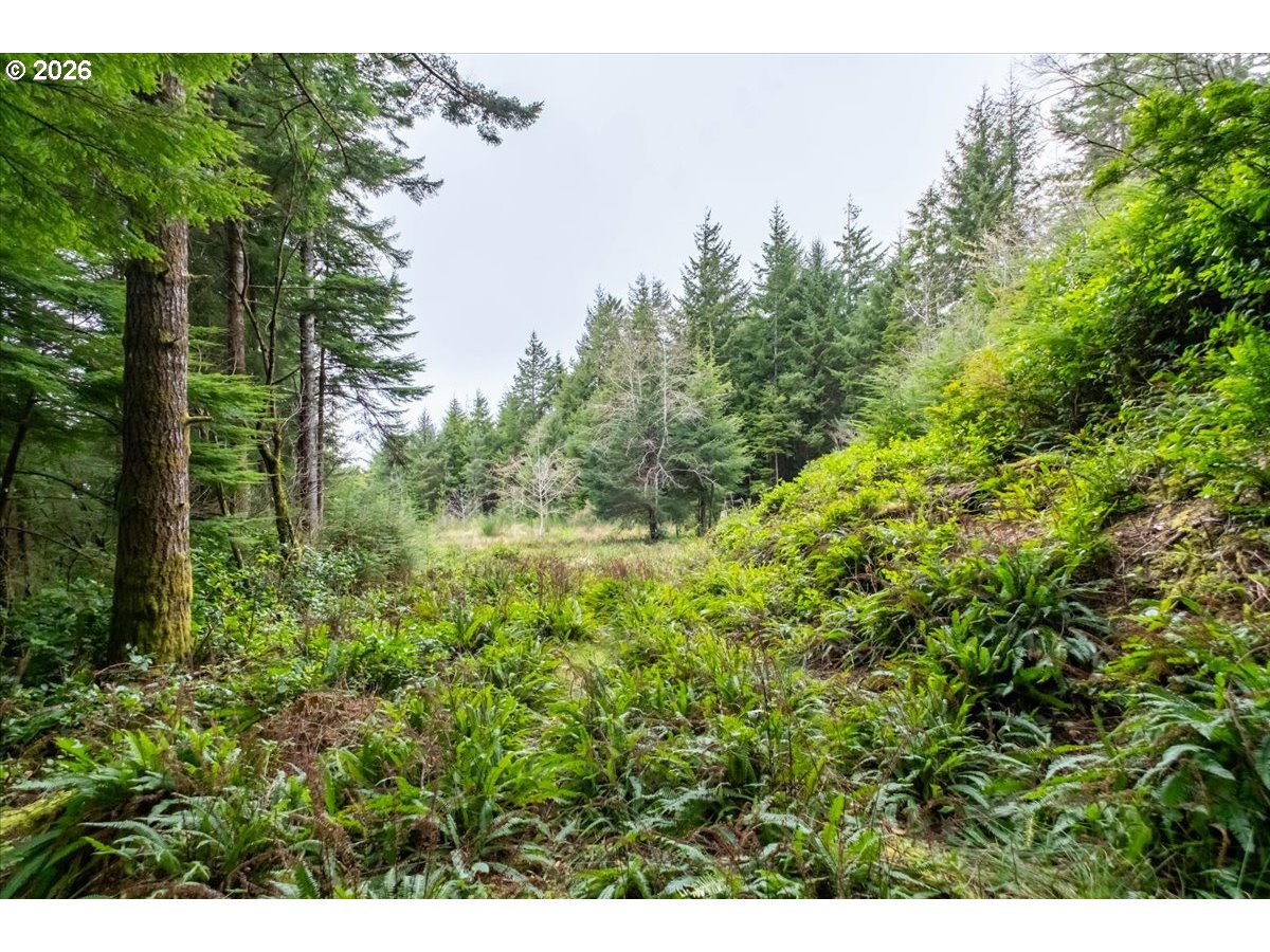 2800 Lot Waldport, OR 97394 - Photo 17 of 48
