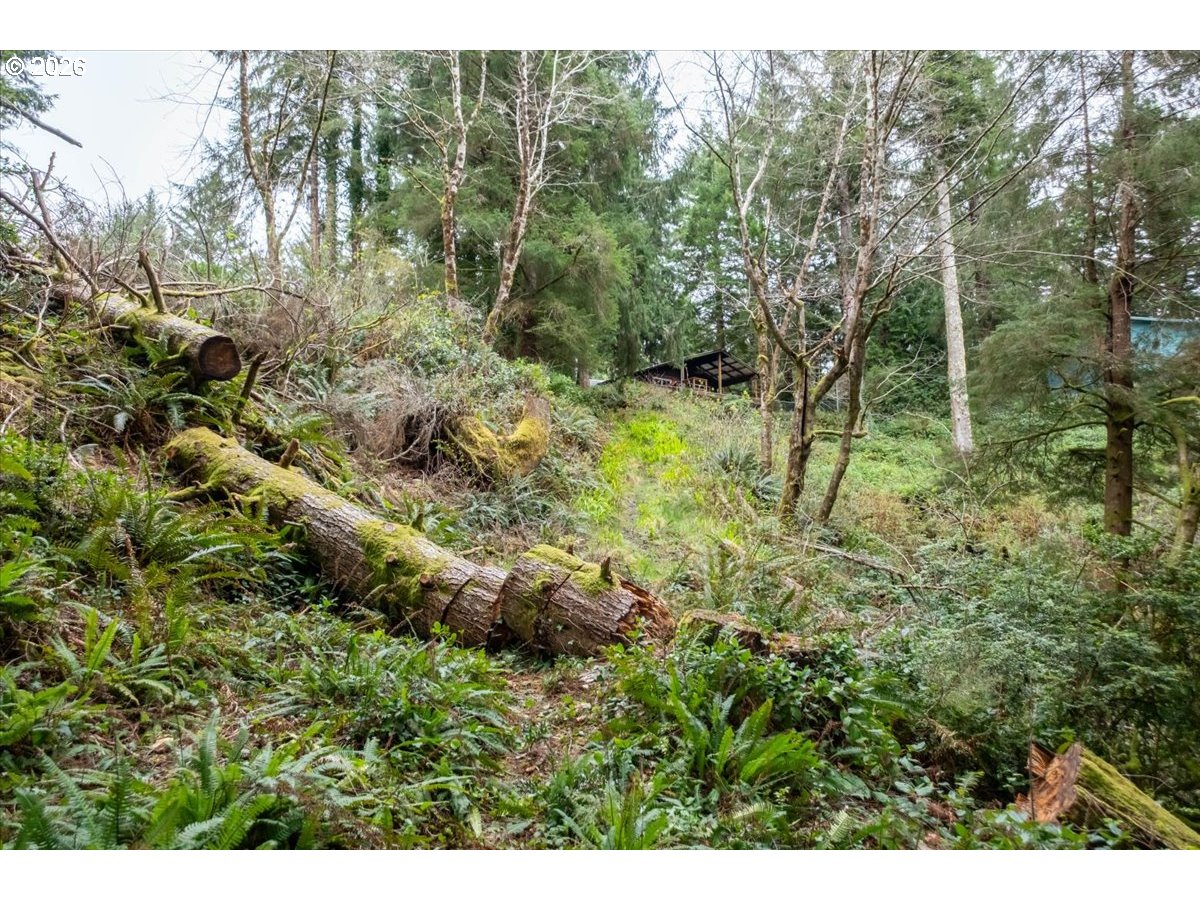 2800 Lot Waldport, OR 97394 - Photo 18 of 48