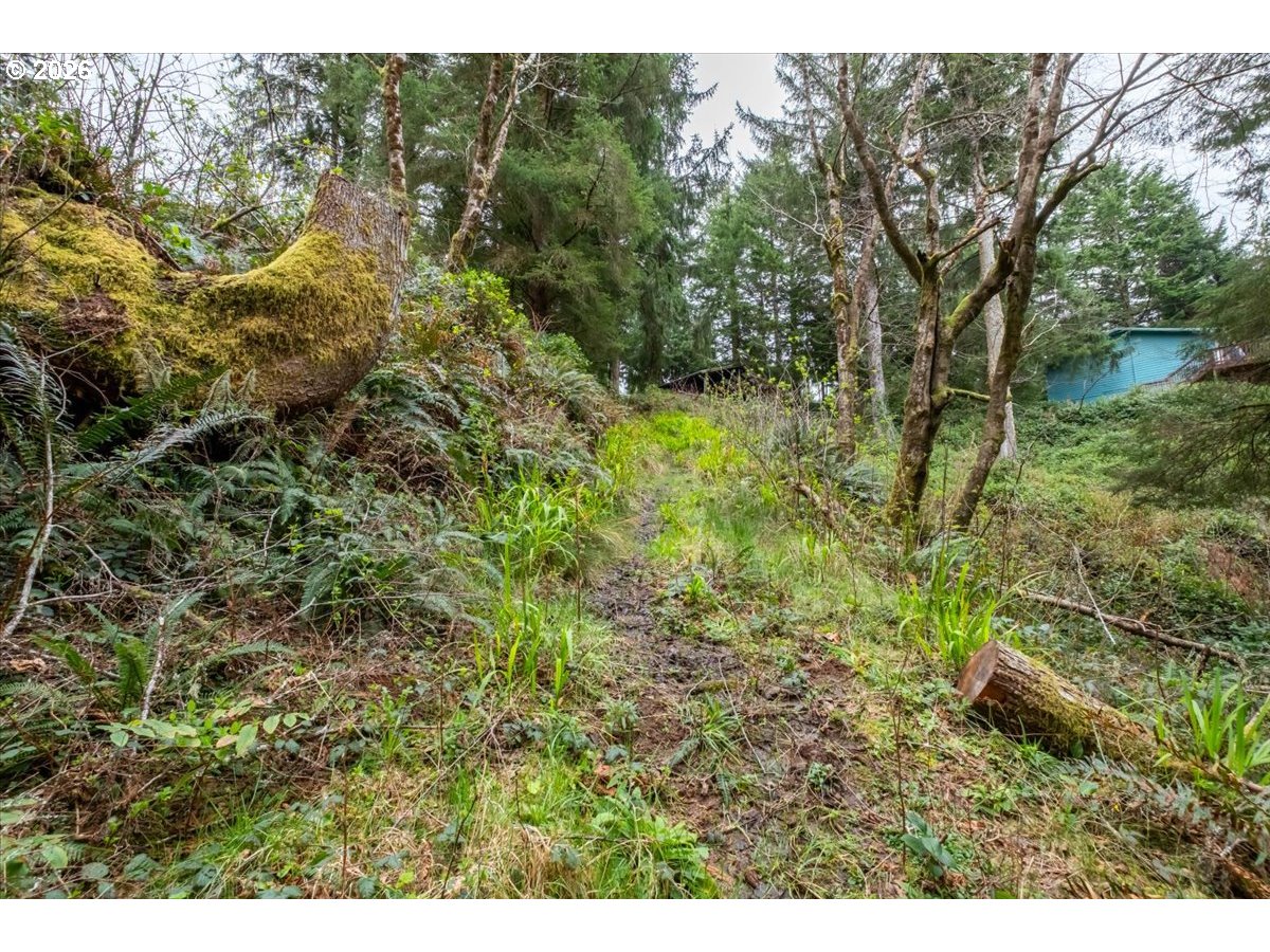 2800 Lot Waldport, OR 97394 - Photo 19 of 48
