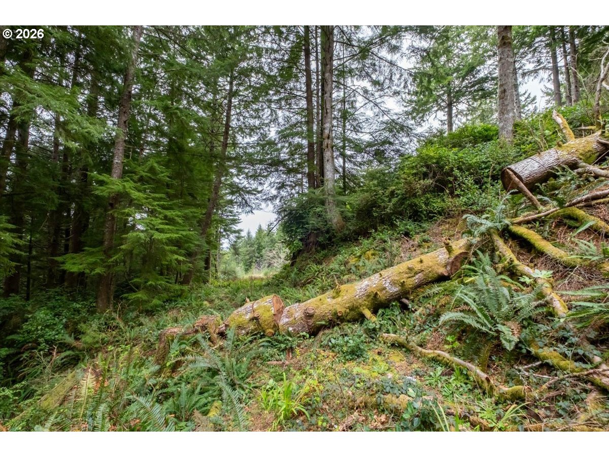 2800 Lot Waldport, OR 97394 - Photo 20 of 48