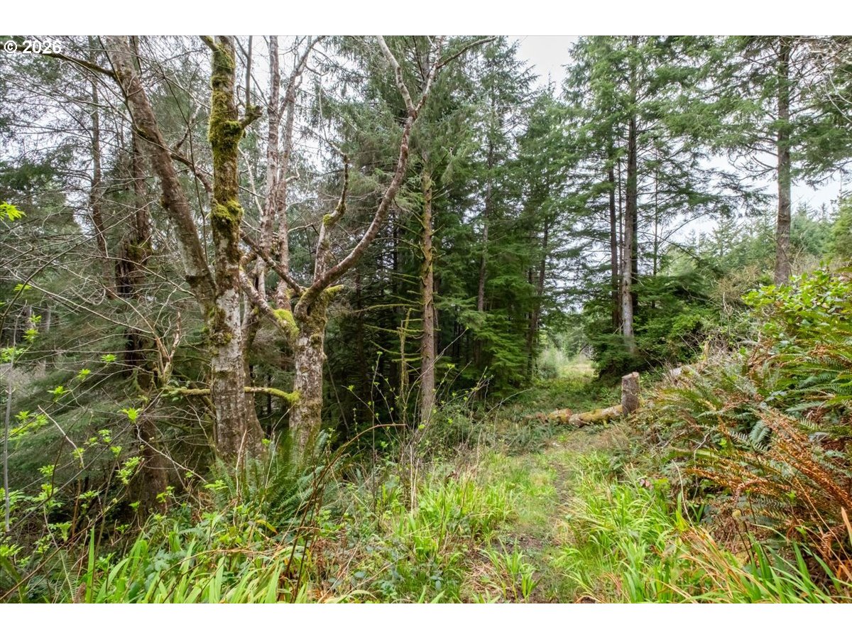 2800 Lot Waldport, OR 97394 - Photo 21 of 48